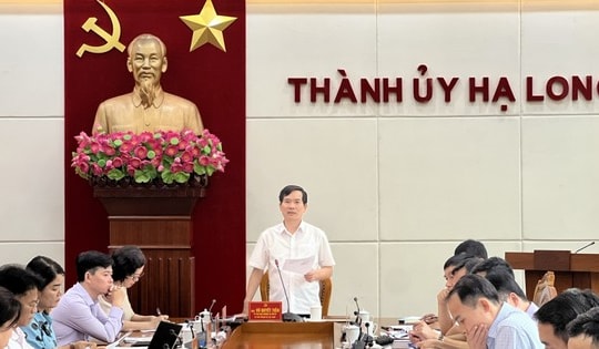 Tạm đình chỉ công tác Giám đốc Ban Quản lý dự án TP. Hạ Long