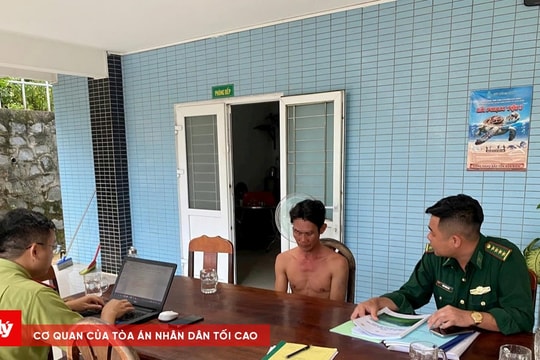 Bắt đối tượng vận chuyển 17 cá thể khỉ đuôi dài tại Côn Đảo