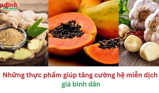 Những thực phẩm giúp tăng cường hệ miễn dịch giá bình dân