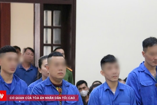 Hai vợ chồng cùng nhau vào tù vì ma túy<!--EndFragment-->