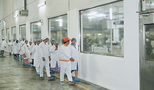 Khách hàng dùng Vinamilk hơn 40 năm, ấn tượng trước siêu nhà máy hiện đại, khép kín