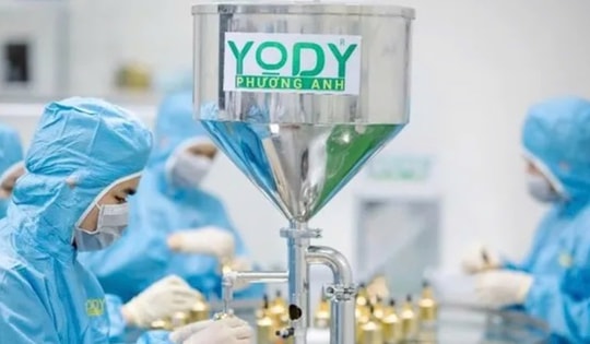 TPHCM: Thẩm mỹ Yody Phương Anh bị đình chỉ hoạt động