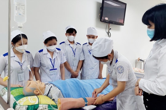 Căn cứ xếp lương chức danh Điều dưỡng hạng III