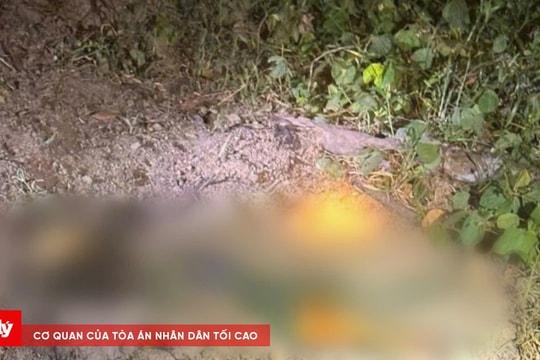 Nghịch tử sát hại mẹ vì không cho tiền chơi game