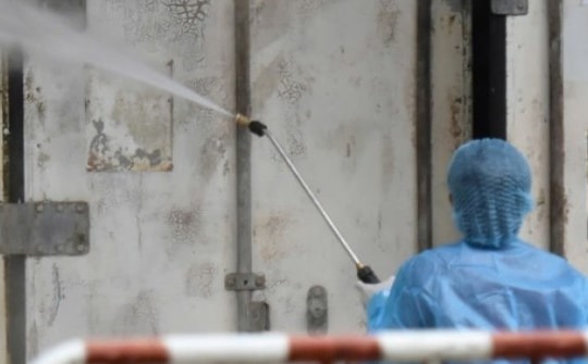 Tiêu hủy 20 con hổ và 1 cá thể báo chết tại KDL Vườn Xoài