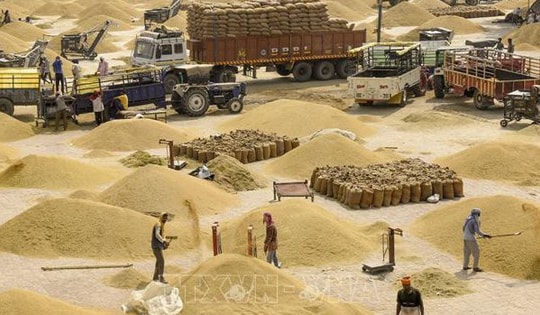 Nóng 'cuộc chiến giá gạo' khi Ấn Độ, Pakistan nới hạn chế xuất khẩu