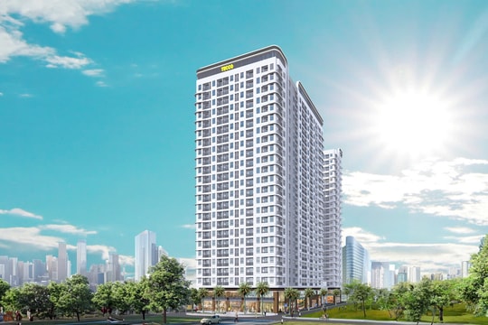 Qúy 4/2024: Dòng tiền của giới đầu tư Thành phố Hồ Chí Minh đi về đâu?