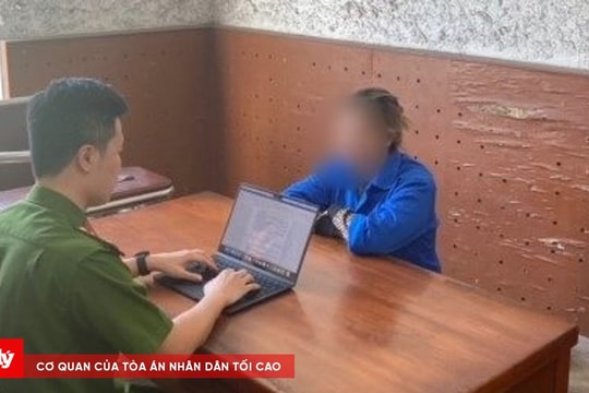 Chiếm đoạt tài sản thông qua việc huy động vốn vay