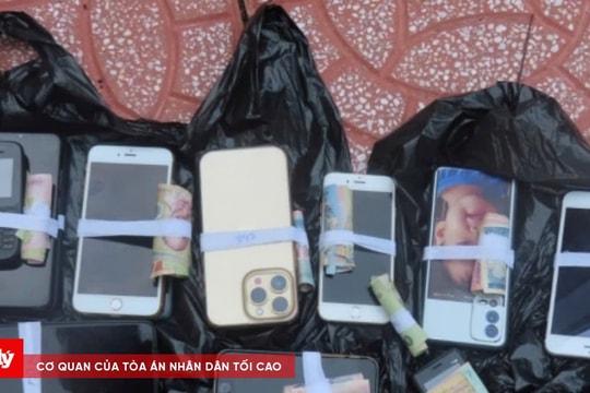 Triệt xóa tụ điểm đánh bạc bằng hình thức đá gà qua mạng