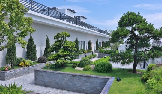 Xu hướng chữa lành từ thiên nhiên Eco-Therapy