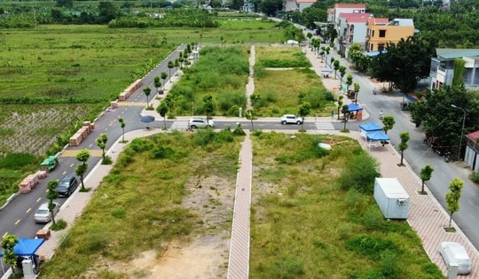 Hà Nội: Xuất hiện tình trạng người tham gia đấu giá nhằm mục đích đầu cơ