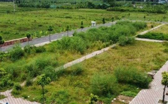 Sắp đến ngày đấu giá đất, huyện Thanh Oai bất ngờ tạm dừng, trả lại tiền cọc