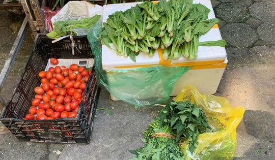 Giá rau tăng vọt sau bão: Nông dân chật vật khắc phục, người tiêu dùng chia sẻ