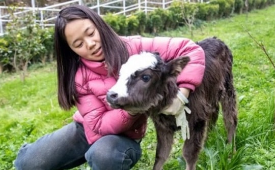 Giới trẻ Trung Quốc đồng loạt "nghỉ hưu" về nông thôn khi tình trạng thất nghiệp trầm trọng