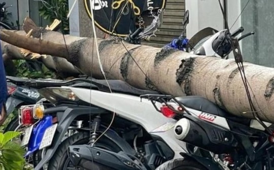 Lốc xoáy khiến nhiều cây xanh gãy đổ, đè xe máy ở Đồng Nai