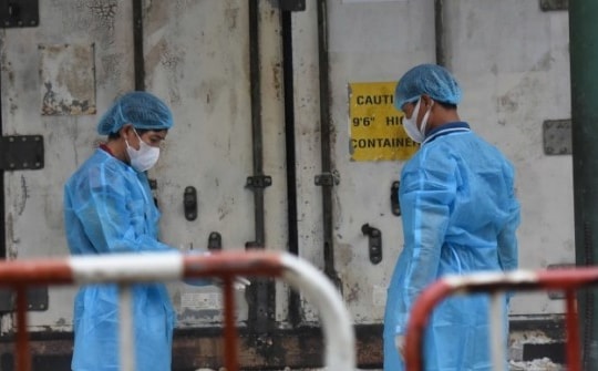 Thông tin mới về vụ hổ chết hàng loạt trong Khu du lịch ở Đồng Nai