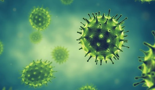 Những điều cần biết về virus cúm A