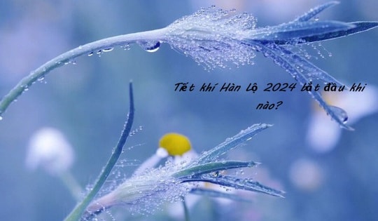 Tiết khí Hàn Lộ năm 2024 bắt đầu khi nào? Điều cần làm để hút vận khí tốt, đem may mắn đến với ngôi nhà