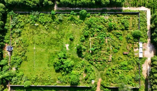 Di tích điện Thoại Thánh ra sao trước khi được trùng tu hàng chục tỷ đồng?