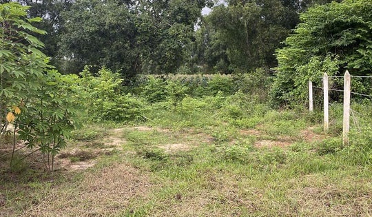 "Ông lớn" ngân hàng rao bán khoản nợ được thế chấp bằng loạt lô đất TP Thủ Đức, diện tích từ 1.300m2