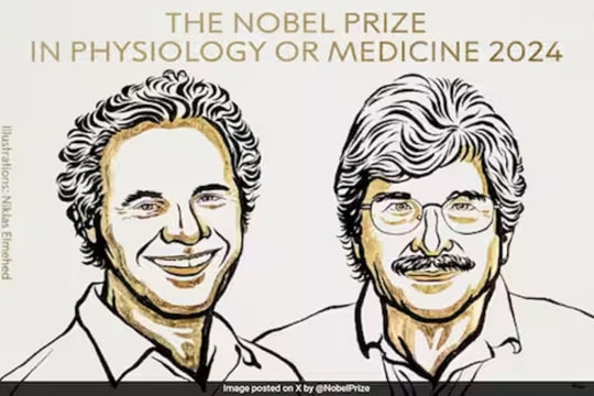 Hai nhà khoa học khám phá ra microRNA đạt giải Nobel Y Sinh năm 2024