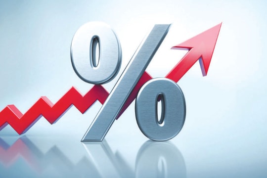 Quy định về lãi suất tiền gửi ngân hàng từ 20/11/2024