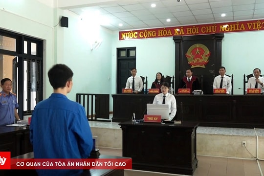 Giám đốc công ty bất động sản chiếm đoạt hơn 9,3 tỷ đồng