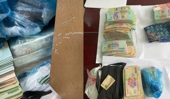 Thiếu nữ 18 tuổi giấu 3 bánh heroin, 1800 viên hồng phiến trong két sắt