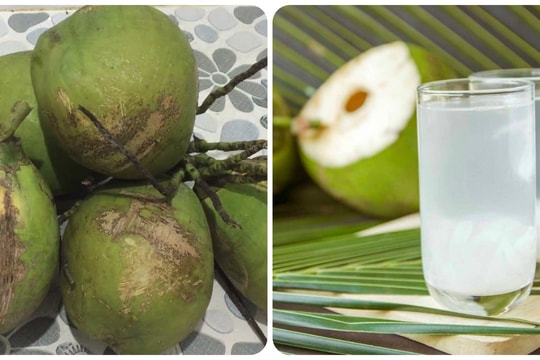 Có nên uống nước dừa mỗi ngày?