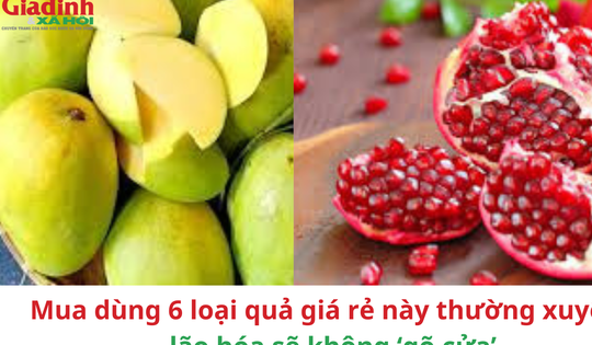 Mua dùng 6 loại quả giá rẻ này thường xuyên, lão hóa sẽ không ‘gõ cửa’
