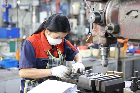 Kiến tạo môi trường thuận lợi giúp DN phát triển, khuyến khích cơ chế DN lớn hỗ trợ, thúc đẩy DN nhỏ và vừa