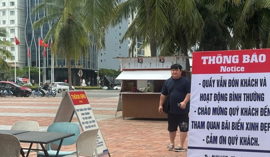 Chưa giao mặt bằng đã đưa ra đấu giá: Ban quản lý Bán đảo Sơn Trà nói “lỗi kỹ thuật”