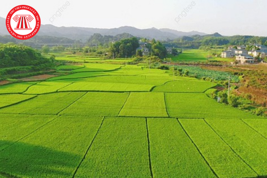 Có phải chỉ cần xin chuyển mục đích sử dụng đất là được chuyển hay không?