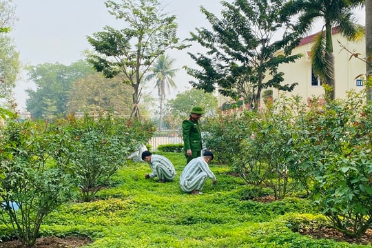 Quy định mới về sử dụng kết quả lao động, học nghề của phạm nhân theo Nghị định 118