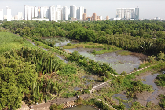 Tỷ lệ quy đổi khi bồi thường bằng đất có mục đích sử dụng khác với loại đất thu hồi hoặc bằng nhà ở tại Thừa Thiên Huế