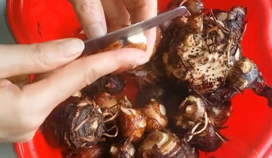 Đây mới là cách gọt khoai sọ nhanh, không bị ngứa mà lại cực sạch, đơn giản