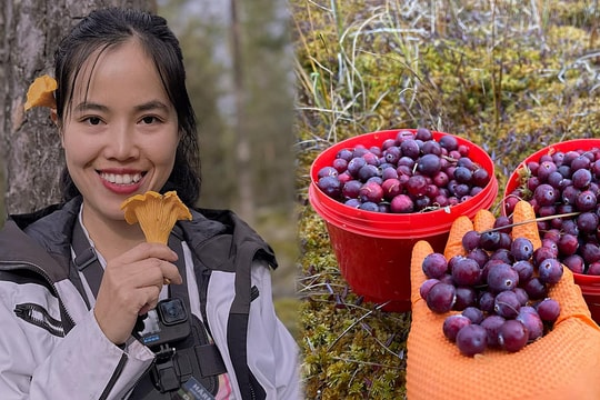 Mẹ Việt ở Phần Lan vượt qua trầm cảm sau sinh nhờ đi rừng