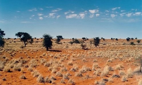 Mức phạt khi bỏ hoang đất cập nhật mới nhất 2024