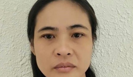 Nữ phiên dịch kiêm giúp việc nhà lừa tiền ông chủ