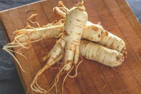 Nhân sâm đại kỵ với những người này, chớ dại dùng kẻo 'tiền mất tật mang'