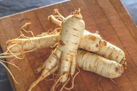 Nhân sâm là 'thần dược' nhưng đại kỵ với những người này