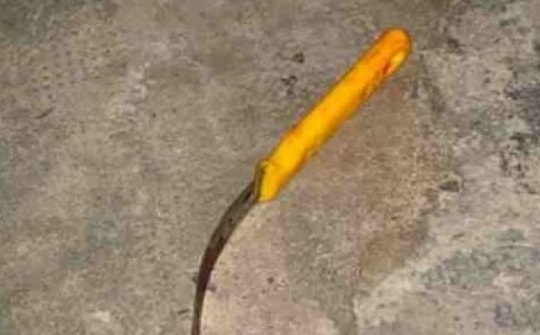 Vợ xích mích với đồng nghiệp, chồng đến can thiệp thì bị đâm tử vong