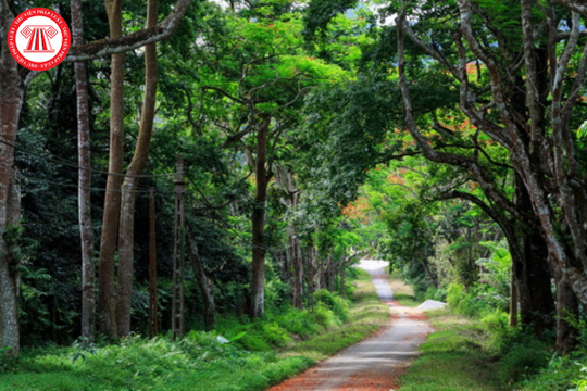 Có được cho thuê đất rừng đặc dụng để làm khu du lịch sinh thái hay không?