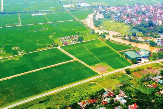 Thủ tướng phê bình các tỉnh, thành phố chậm ban hành các văn bản hướng dẫn Luật Đất đai