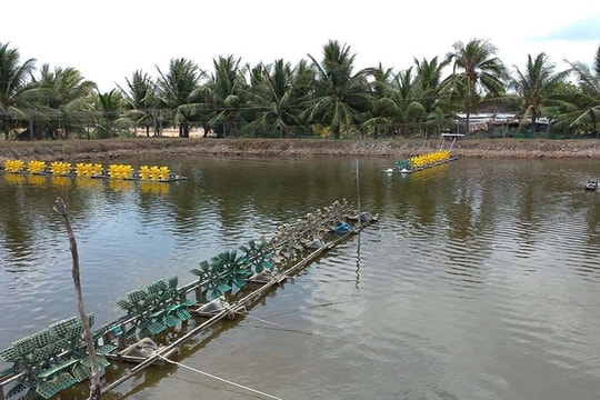 Quy định mức xử phạt hành vi không sử dụng đất trồng cây lâu năm, đất nuôi trồng thủy sản