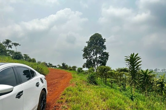 Đất nền thổ cư phía Nam tăng giao dịch, “tay to” xuất hiện dịp cuối năm