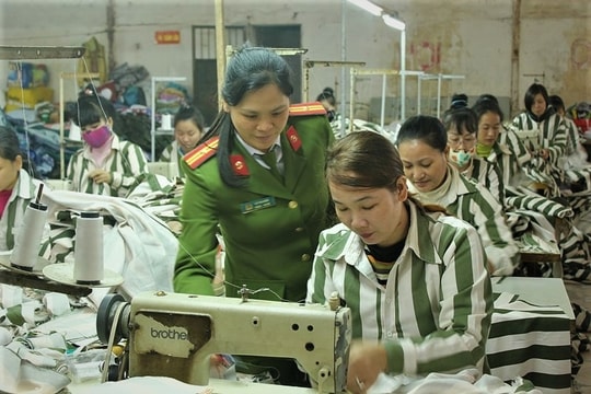 Chế độ học nghề của phạm nhân từ ngày 15/11/2024