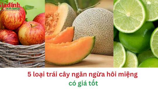 5 loại trái cây ngăn ngừa hôi miệng có giá tốt