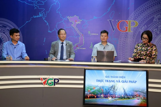 EVN bị lỗ trong sản xuất kinh doanh điện và kiến nghị của chuyên gia