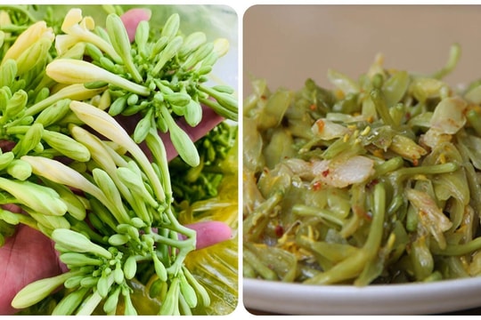 Cách sử dụng hoa đu đủ đực tươi tốt cho sức khoẻ